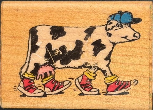 Comotion mucca sportiva - comotion,