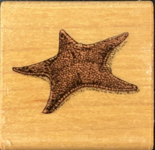 Timbro gomma comotion - timbro, beach