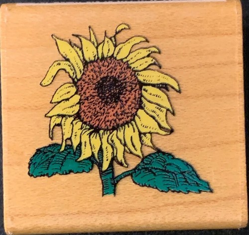 Timbro gomma girasole - timbro,