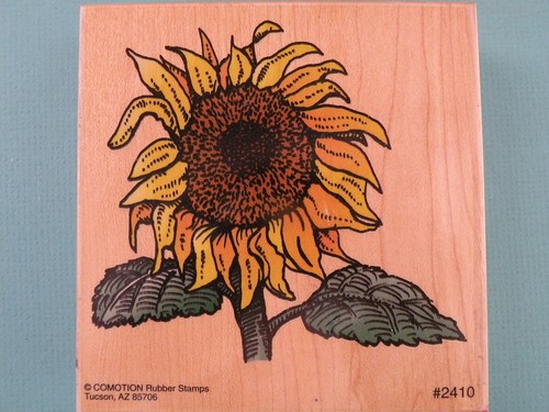 Fiore girasole stelo - fiore, a